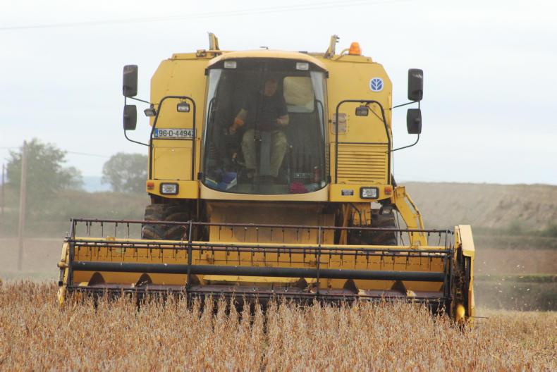 Bitter sweet memories from 2018 Bitter sweet memories from 2018