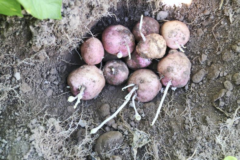 Bitter sweet memories from 2018 Bitter sweet memories from 2018