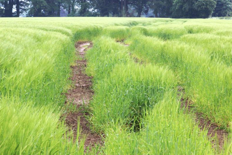 Bitter sweet memories from 2018 Bitter sweet memories from 2018