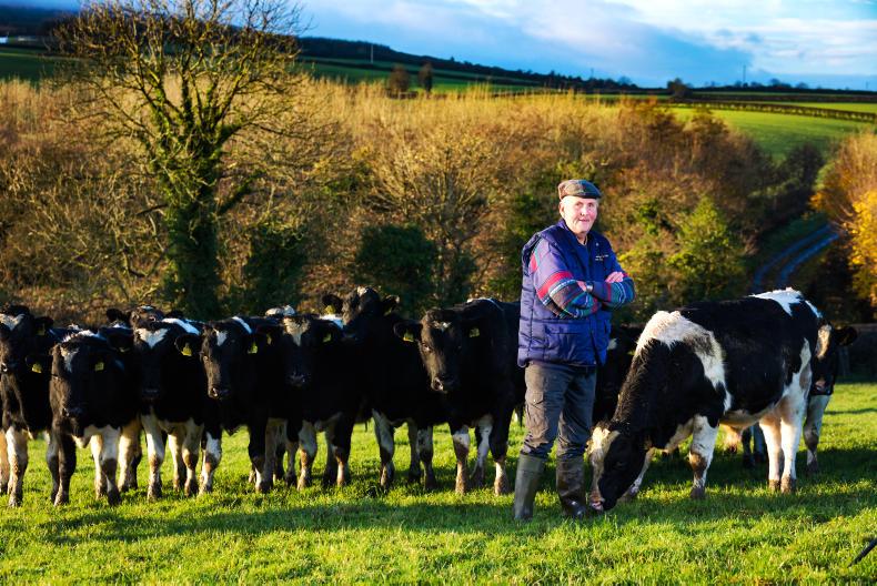 Origin Green awards: dairy calf to beef in Co Donegal Origin Green awards: dairy calf to beef in Co Donegal