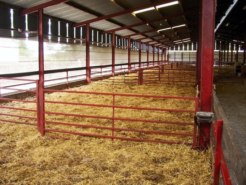 Top tips for health management pre-lambing Top tips for health management pre-lambing