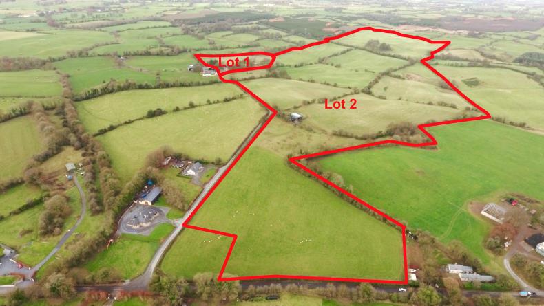 Fattening farm sells for €835,000 Fattening farm sells for €835,000