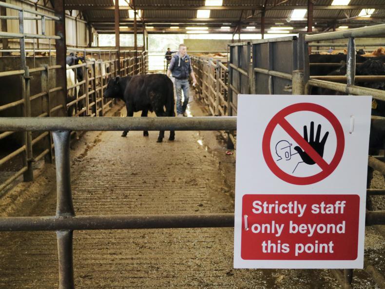 All Scottish abattoirs to get CCTV All Scottish abattoirs to get CCTV
