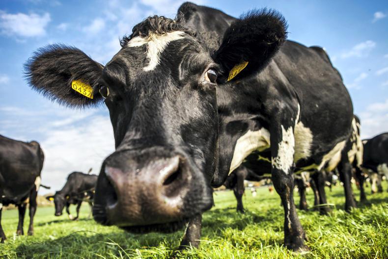 Agri jobs dairy workers, tractor drivers and farm