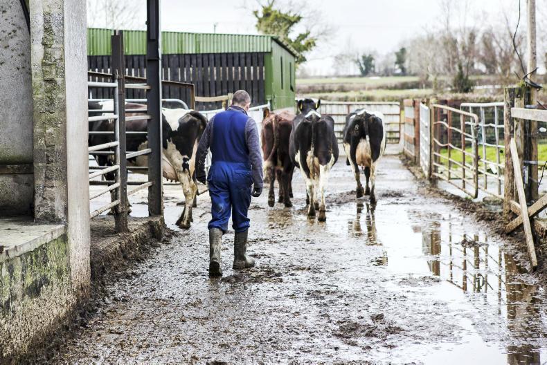 45% surge in demand for dairy workers 45% surge in demand for dairy workers