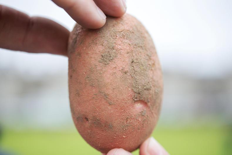 £800k for potato advice and support £800k for potato advice and support