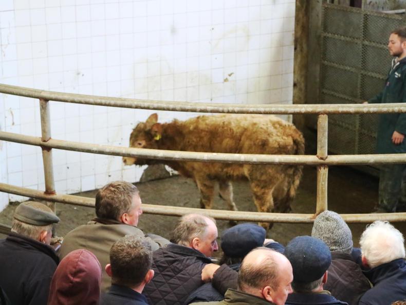 Demand strong at Balla Mart for stores and weanlings