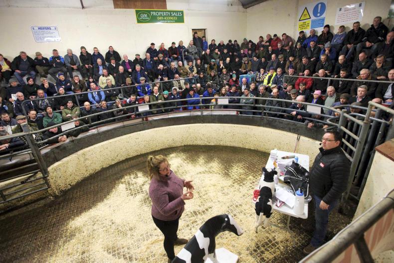 Beef management: grass, BEEP and calving data records Beef management: grass, BEEP and calving data records