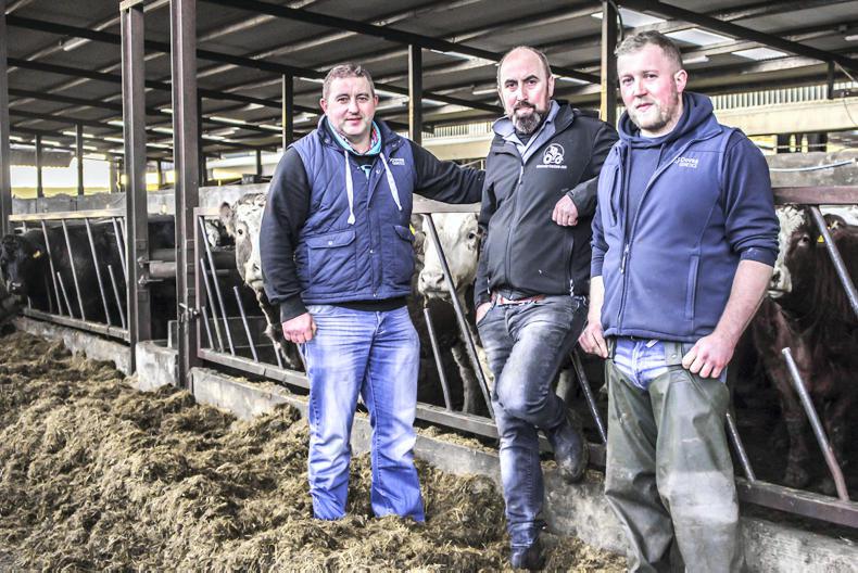Jalex herd open day to highlight sale of in-calf heifers Jalex herd open day to highlight sale of in-calf heifers