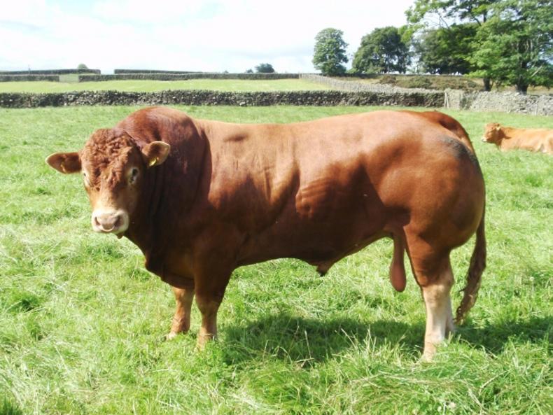 Breeding what the customer wants Breeding what the customer wants