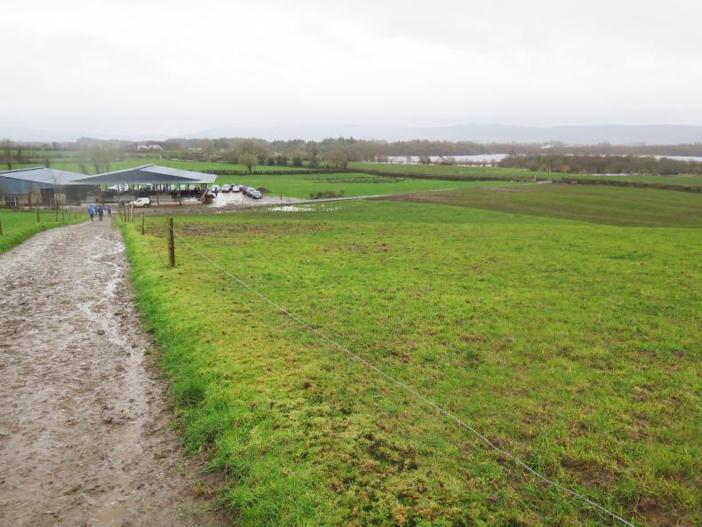 Fabulous February sorts feed problems Fabulous February sorts feed problems