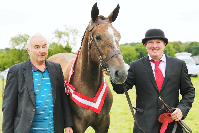 Scannell family's success story Scannell family's success story