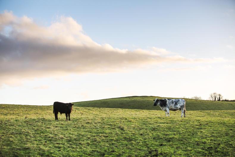 Land Price Report affordable farms sell in Cavan Premium