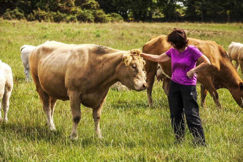 Call for State pension for farm women