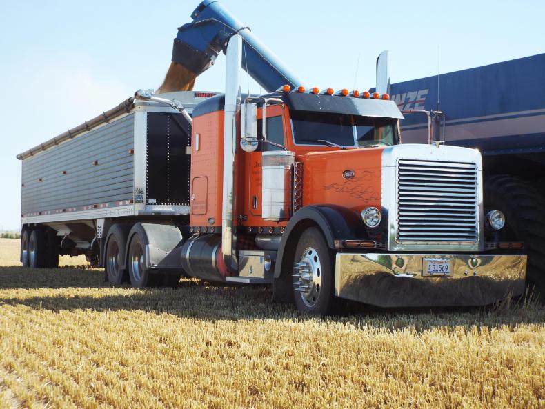 Agri jobs: Stockmen required and opportunity to work in the US
Agri jobs: Stockmen required and opportunity to work in the US