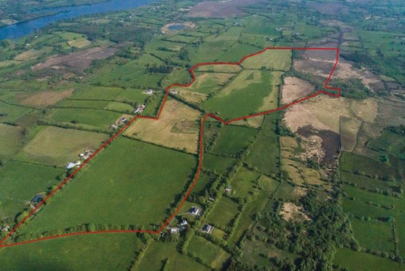 Land Price Report average price breaks €5,000/ac in Leitrim 25 March