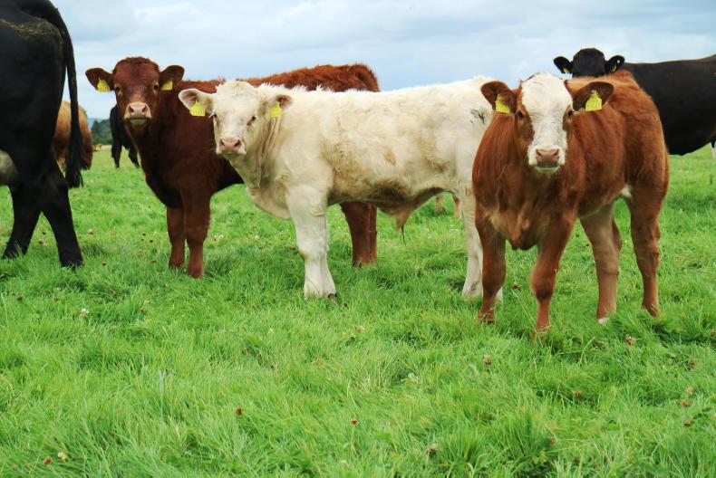 Registering your scales and recording weights for BEEP Registering your scales and recording weights for BEEP