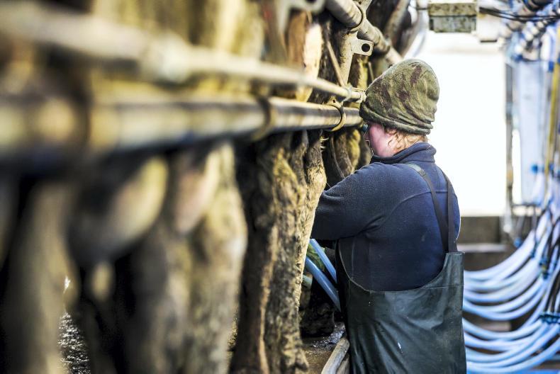 Agri-jobs: dairy workers required and New Zealand opportunity 