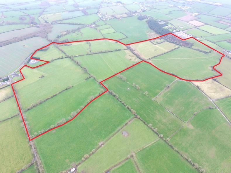 Nature’s gift in Tipperary for auction Nature’s gift in Tipperary for auction