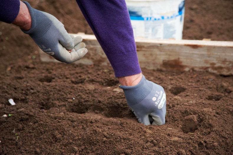 Six top tips to get the most from your gardens soils 27 March 2019