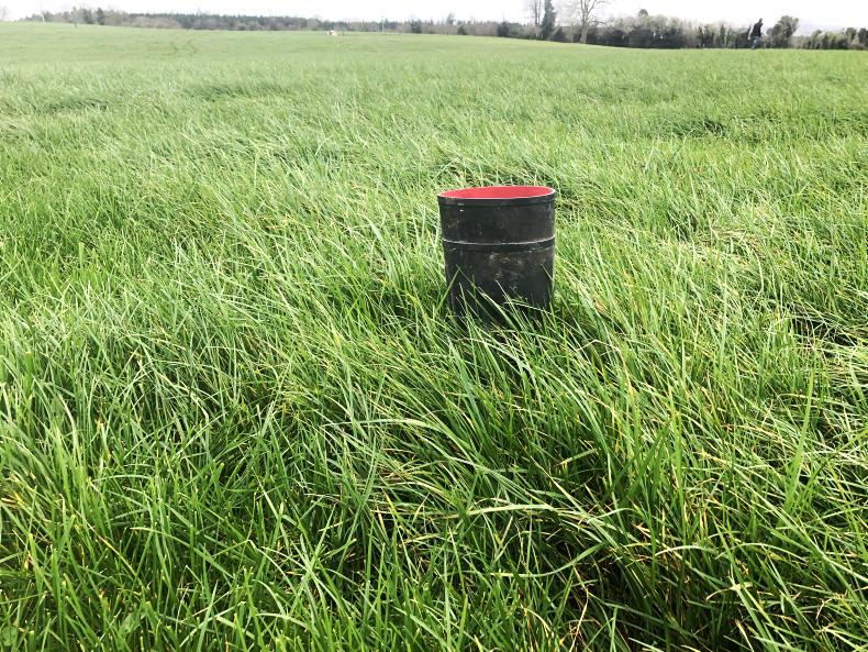 Too much grass in Tullamore, what a difference a year makes Too much grass in Tullamore, what a difference a year makes