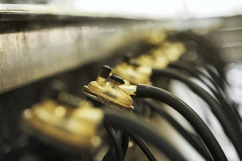 Farmer focus: 'Farming was always an option, but I wasn’t forced into doing it' Farmer focus: 'Farming was always an option, but I wasn’t forced into doing it'