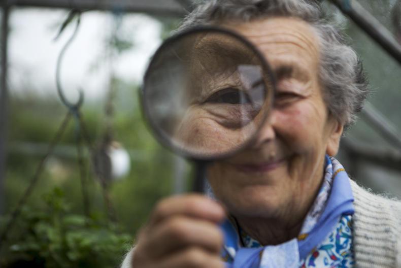 Lily Champ: Nature at its peak after the dark days of winter Lily Champ: Nature at its peak after the dark days of winter