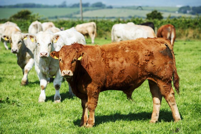 BETTER farm spring walks: the messages to take home BETTER farm spring walks: the messages to take home