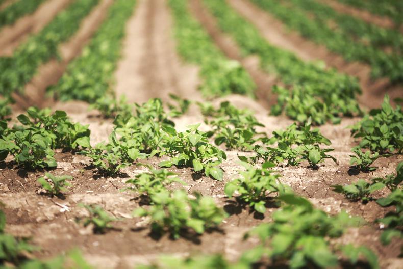 Agri shares: Donegal Investment Group shares jump on back of Indian investment Agri shares: Donegal Investment Group shares jump on back of Indian investment