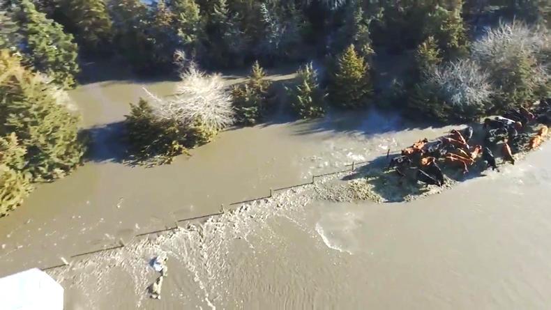 Farmer Writes: staying strong through devastating floods in Nebraska Farmer Writes: staying strong through devastating floods in Nebraska
