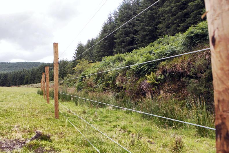 Farmers urged to co-operate on deer control Farmers urged to co-operate on deer control