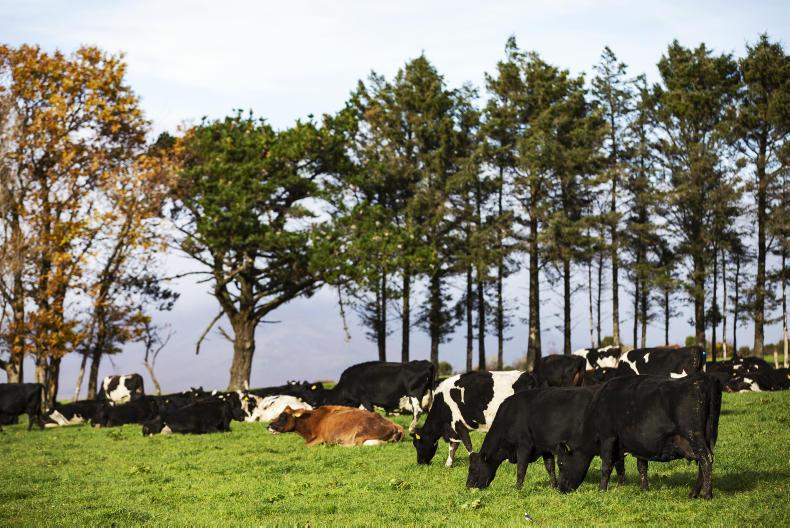 Profits fall 22% at Aurivo last year Profits fall 22% at Aurivo last year