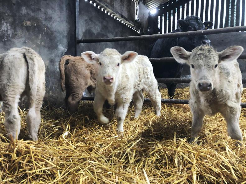 News in-brief from Northern Ireland News in-brief from Northern Ireland