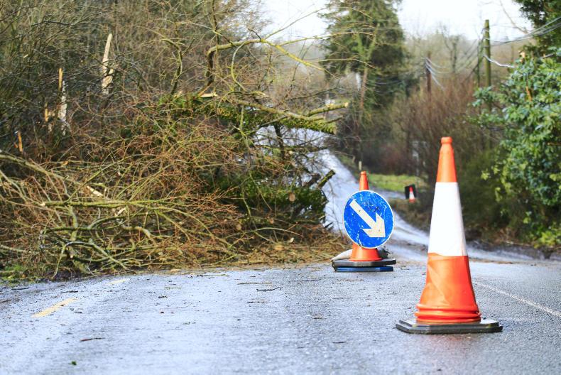 Storm Hannah: 10,000 farms, homes and businesses without power Storm Hannah: 10,000 farms, homes and businesses without power