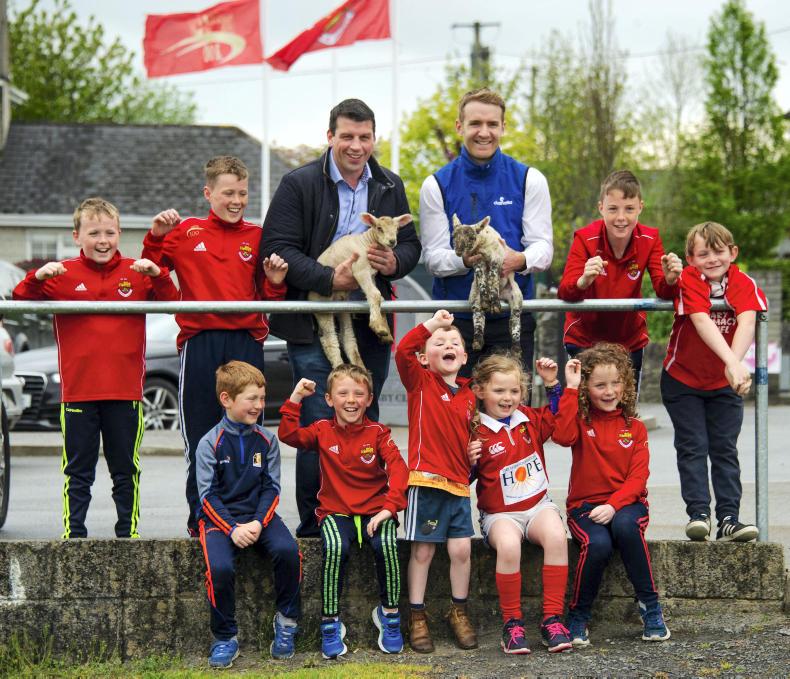 New format for All-Ireland and All-Nations shearing New format for All-Ireland and All-Nations shearing