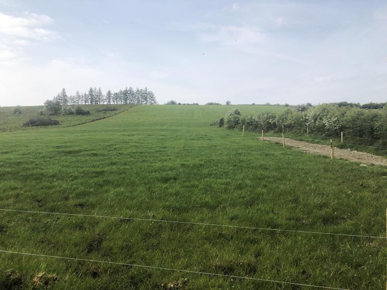 Watch: focus on the basics paying off in Sligo Watch: focus on the basics paying off in Sligo