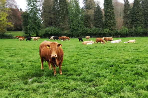 Words matter, so who will guard the Guardian? Words matter, so who will guard the Guardian?