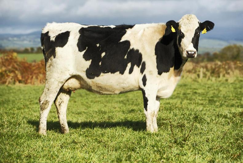 Price cuts and oversupply hit milk sector Price cuts and oversupply hit milk sector