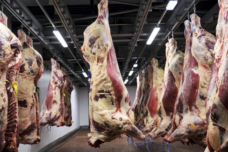 Beef prices: higher numbers curtailing prices Beef prices: higher numbers curtailing prices