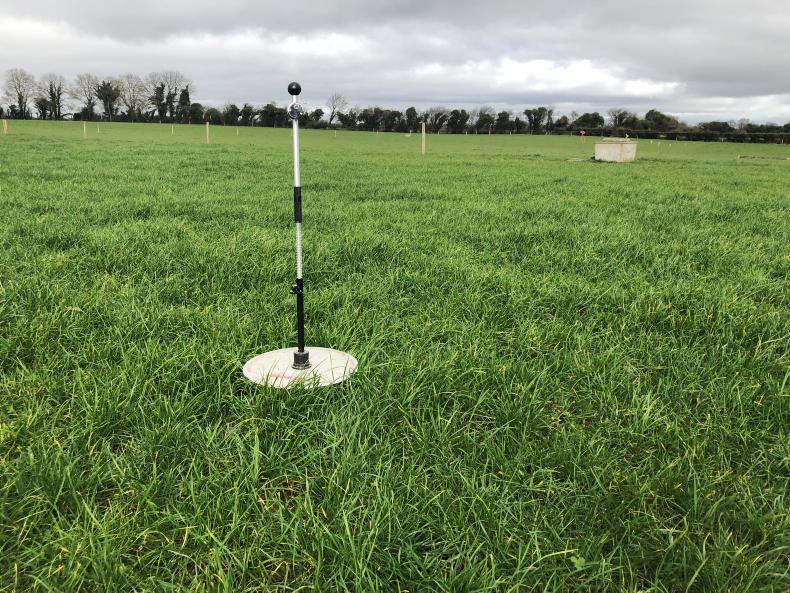 Critical period as reseeds spring to life Critical period as reseeds spring to life