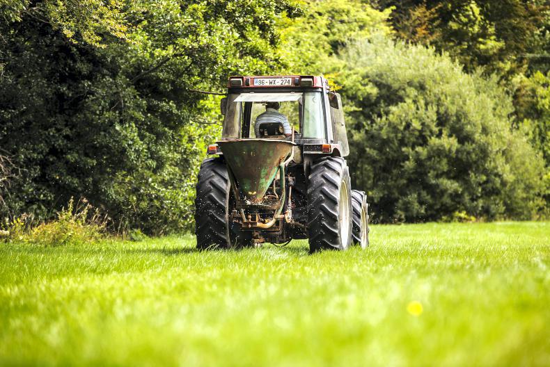 Critical period as reseeds spring to life Critical period as reseeds spring to life