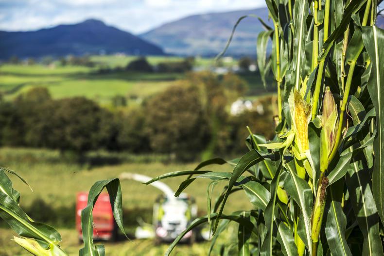 Agri jobs: dairy and tillage workers required Agri jobs: dairy and tillage workers required