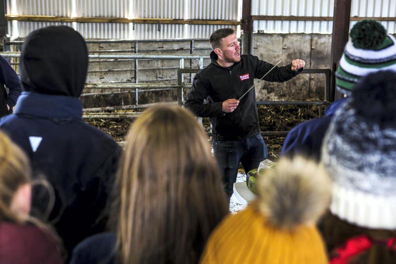 Tullamore Farm: hungry mouths tightening grass supplies Tullamore Farm: hungry mouths tightening grass supplies