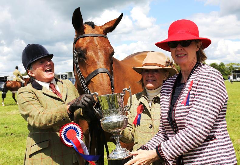 Quality galore at Gorey Quality galore at Gorey