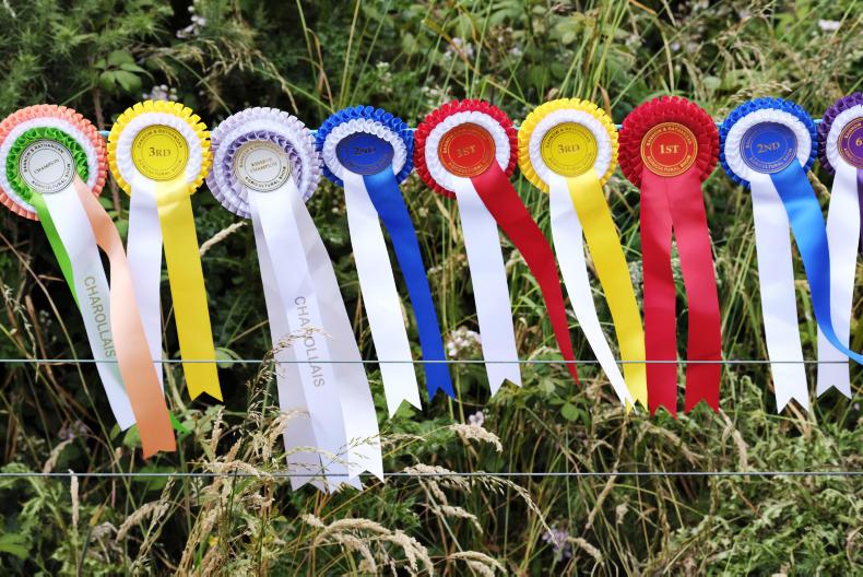 New TB changes could put summer shows at risk New TB changes could put summer shows at risk