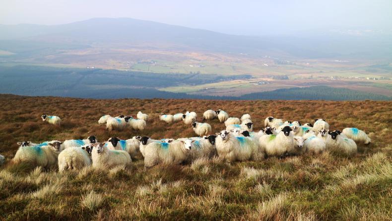 Stop LFASS cuts plea Stop LFASS cuts plea