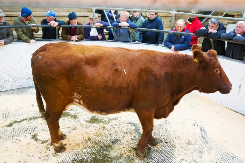 Mart outrage over TB test changes Mart outrage over TB test changes