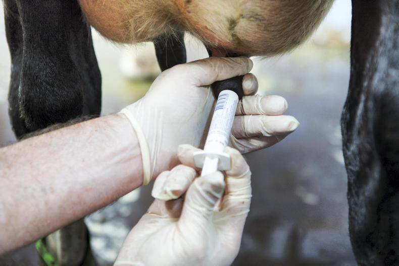 Environment: correct disposal of antibiotics is critical Environment: correct disposal of antibiotics is critical