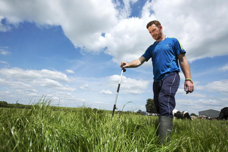 Dairy management Grassland Farmer of the Year competition opens 22