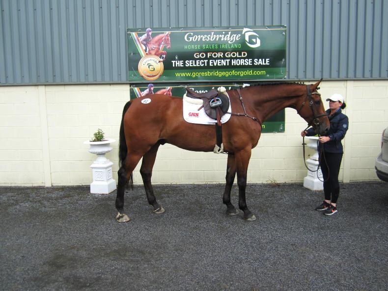 Young horses in demand at Goresbridge Young horses in demand at Goresbridge